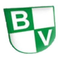 BV Grün Weiß Holt II